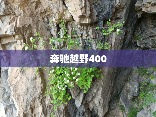 奔驰越野400