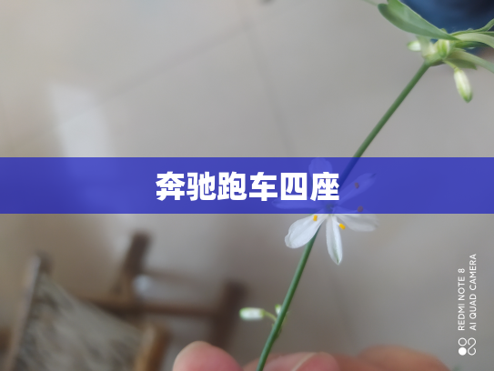 奔驰跑车四座