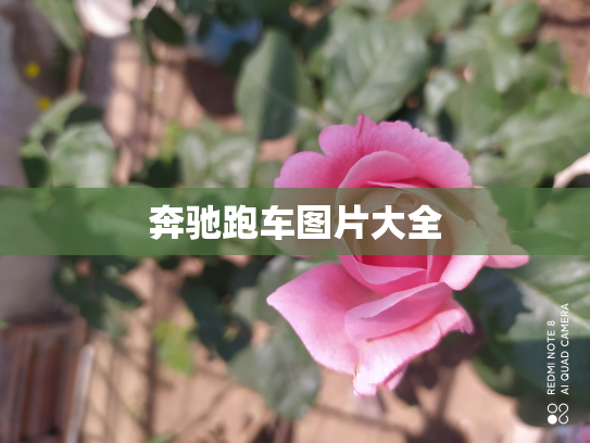 奔驰跑车图片大全