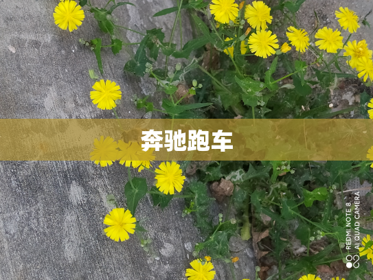 奔驰跑车