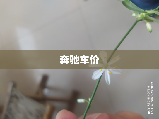 奔驰车价