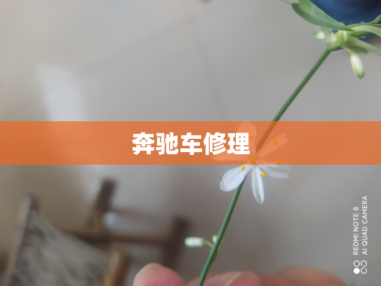 奔驰车修理
