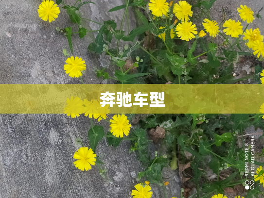 奔驰车型