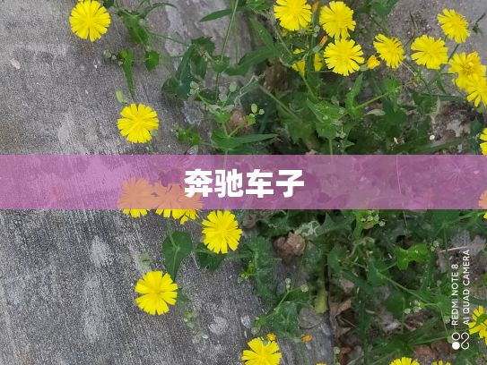 奔驰车子