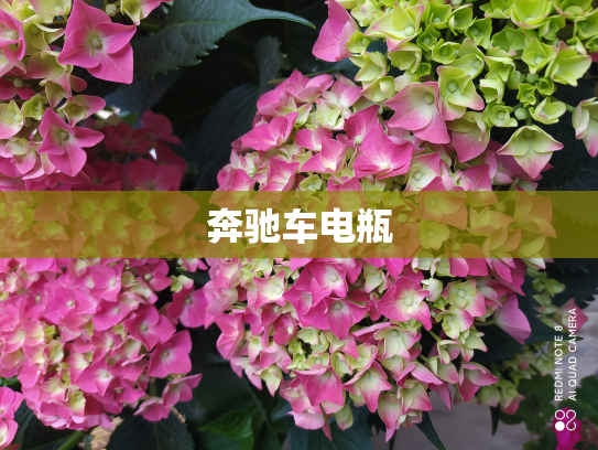 奔驰车电瓶