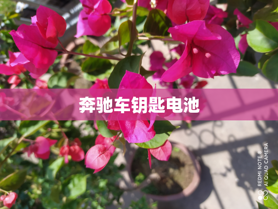 奔驰车钥匙电池