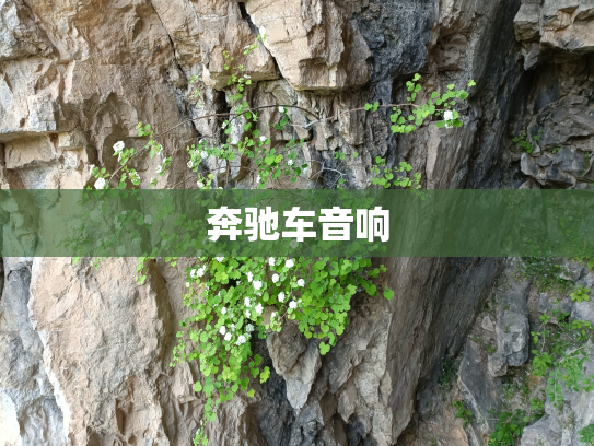 奔驰车音响