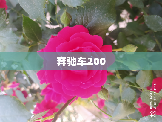 奔驰车200
