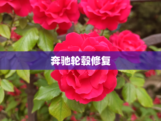 奔驰轮毂修复