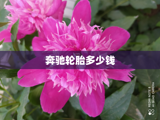 奔驰轮胎多少钱