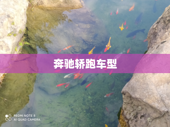 奔驰轿跑车型