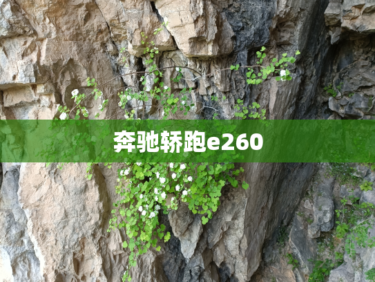 奔驰轿跑e260
