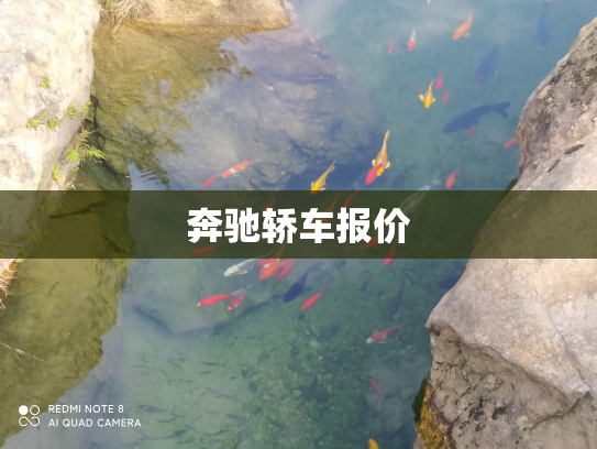 奔驰轿车报价