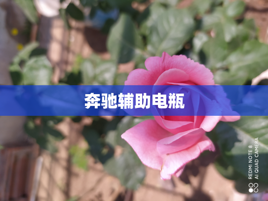 奔驰辅助电瓶