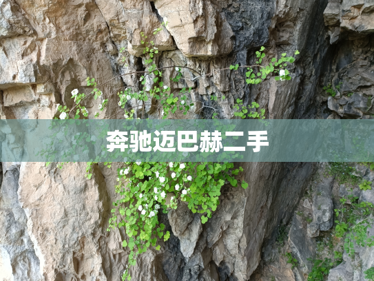 奔驰迈巴赫二手