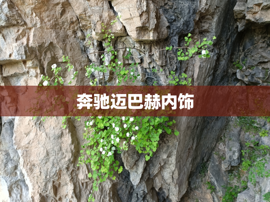 奔驰迈巴赫内饰