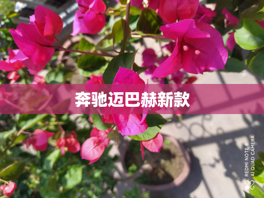 奔驰迈巴赫新款