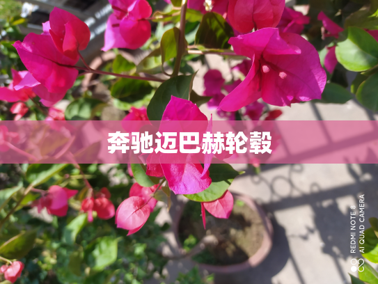 奔驰迈巴赫轮毂