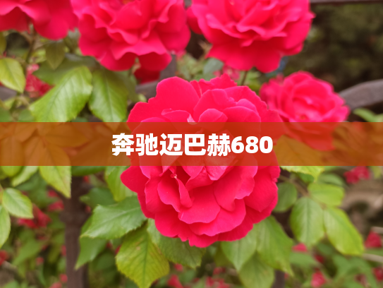 奔驰迈巴赫680