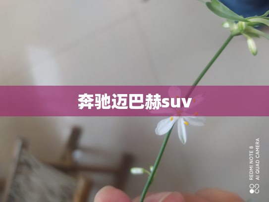 奔驰迈巴赫suv