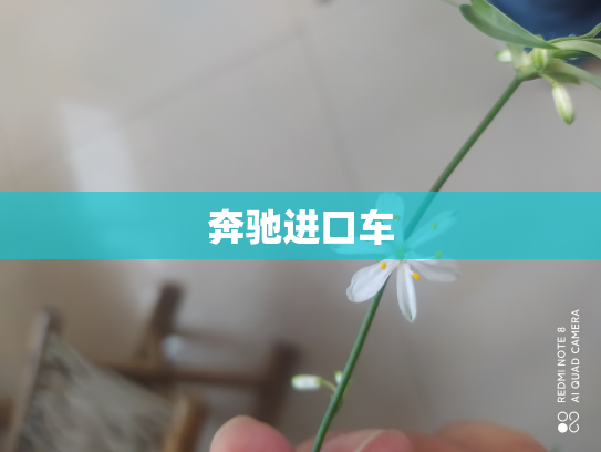 奔驰进口车