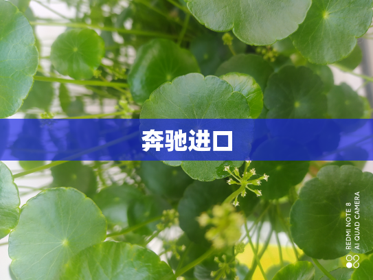 奔驰进口