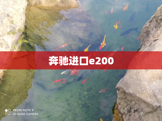 奔驰进口e200