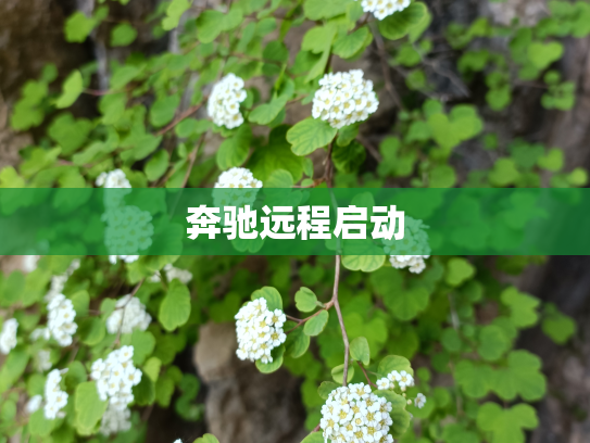奔驰远程启动