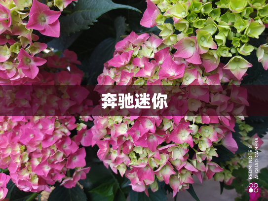 奔驰迷你