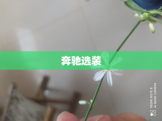 奔驰选装