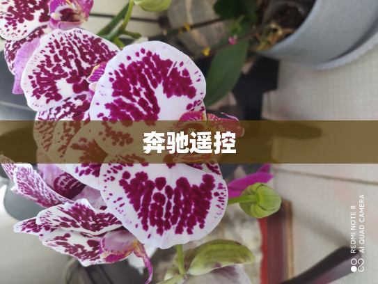 奔驰遥控