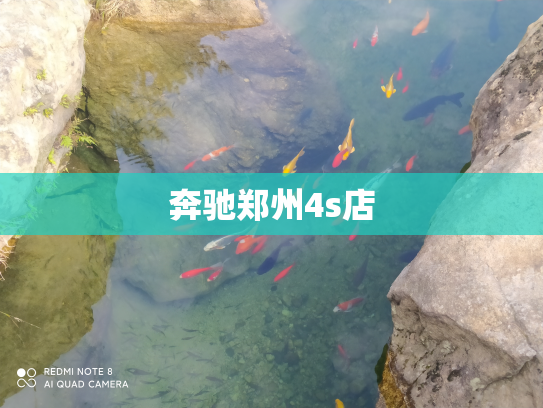 奔驰郑州4s店