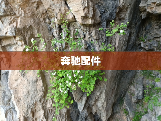 奔驰配件