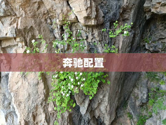 奔驰配置
