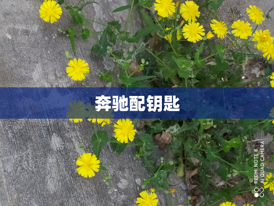 奔驰配钥匙