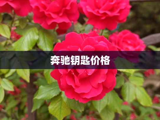 奔驰钥匙价格
