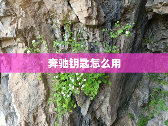 奔驰钥匙怎么用