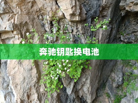 奔驰钥匙换电池