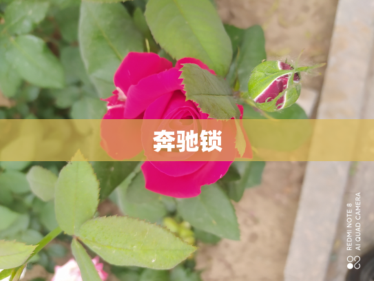 奔驰锁