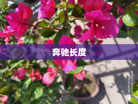 奔驰长度