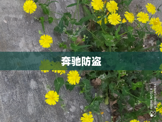 奔驰防盗