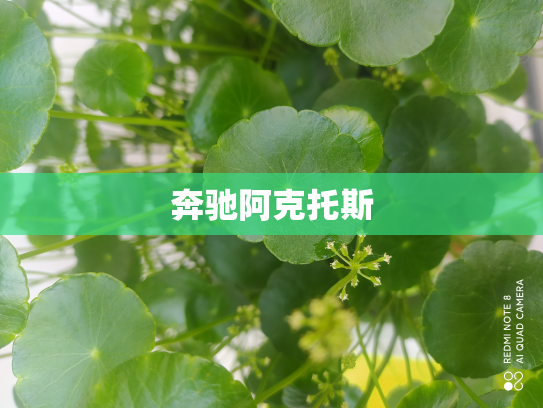奔驰阿克托斯