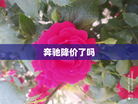 奔驰降价了吗