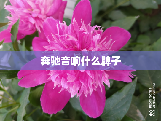 奔驰音响什么牌子