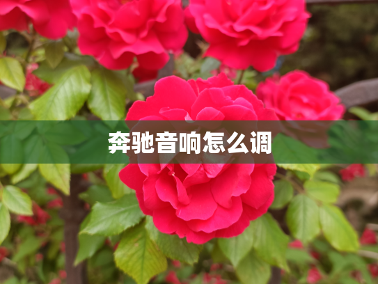 奔驰音响怎么调