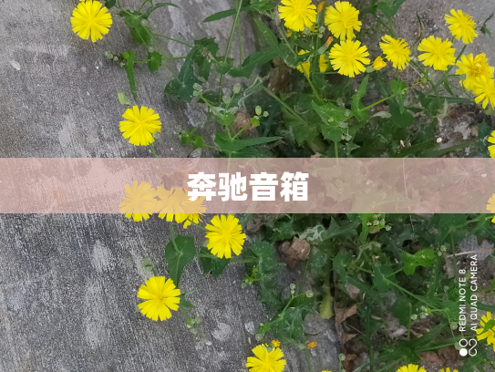 奔驰音箱