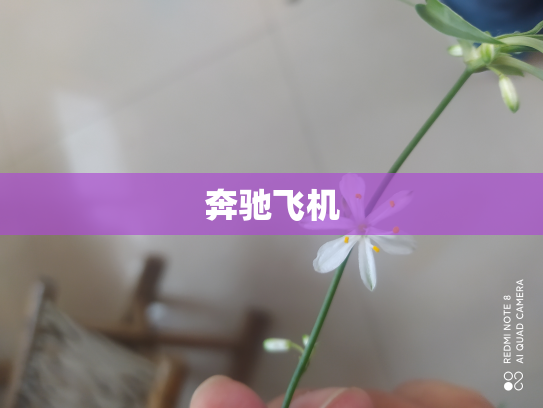 奔驰飞机