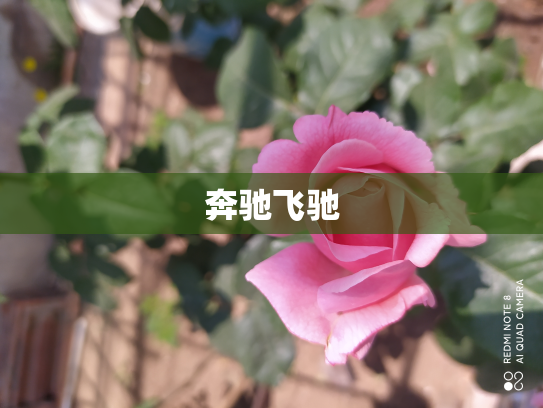 奔驰飞驰