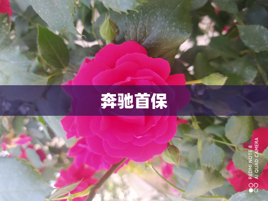 奔驰首保
