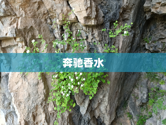 奔驰香水